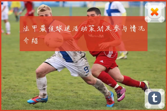 法甲最佳球迷活动策划及参与情况介绍