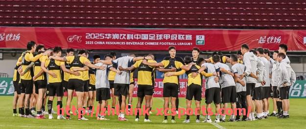 杏彩体育-德甲各支球队主场观众人数排行（含容量）